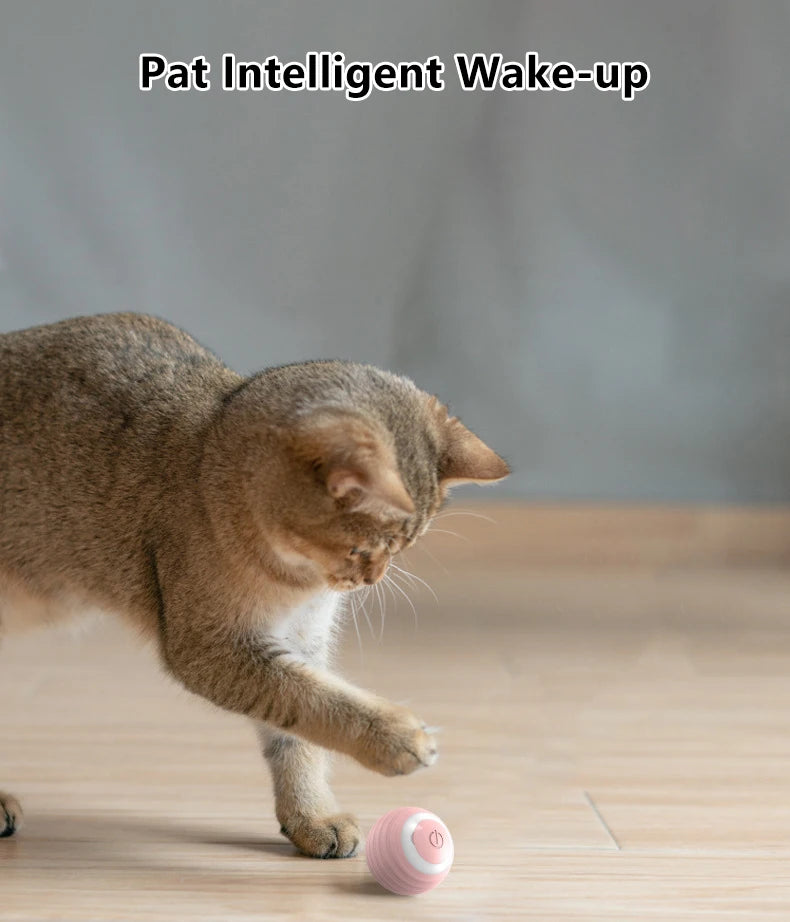 Smart Interactive Cat Toy: Automatic Rolling Magic Ball for Indoor Play